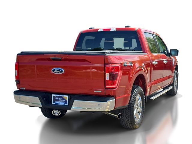 Certified 2023 Ford F150 XLT w/ Equipment Group 302A High AWD/4WD image 4