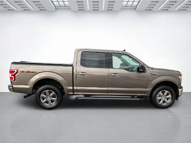 Certified 2019 Ford F150 XLT w/ Equipment Group 302A Luxury AWD/4WD image 2