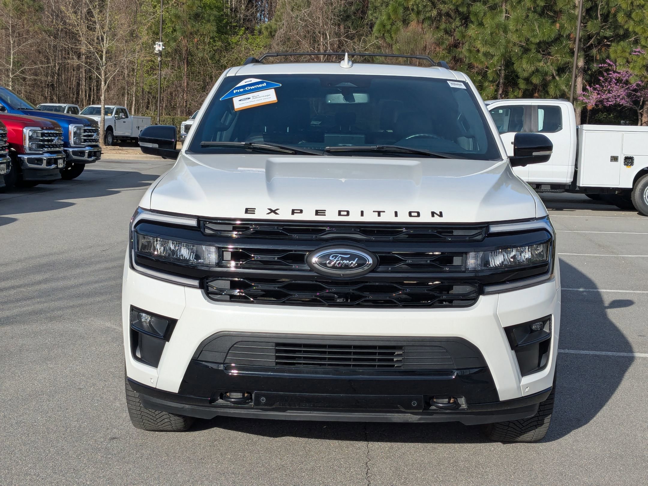 Certified 2022 Ford Expedition Limited image 9