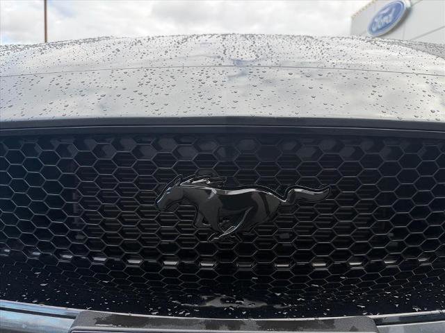 Certified 2019 Ford Mustang GT w/ GT Performance Package image 15