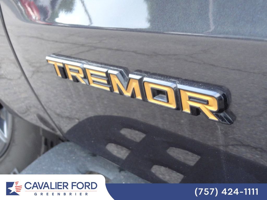 Certified 2025 Ford Expedition Tremor AWD/4WD image 51