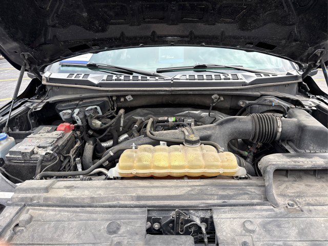 Certified 2020 Ford F150 XL w/ Equipment Group 101A Mid AWD/4WD image 20