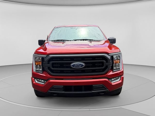 Certified 2023 Ford F150 XLT w/ Equipment Group 302A High AWD/4WD image 8