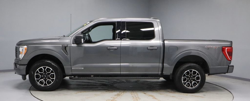 Certified 2023 Ford F150 XLT w/ Equipment Group 302A High AWD/4WD image 8