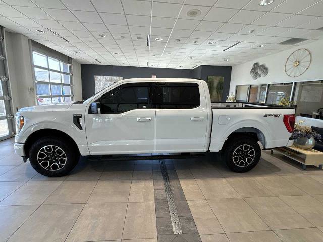 Certified 2023 Ford F150 XLT w/ Equipment Group 302A High image 2