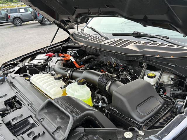 Certified 2025 Ford F150 XLT w/ Equipment Group 301A Standard AWD/4WD image 11