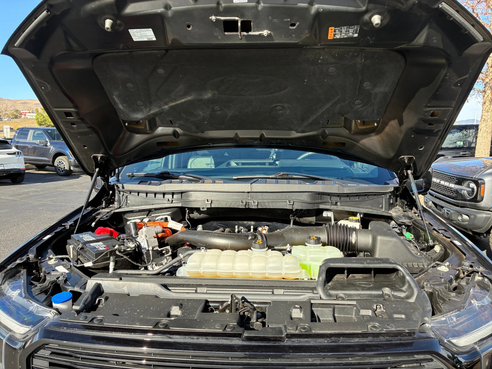 Certified 2024 Ford F150 Platinum image 21