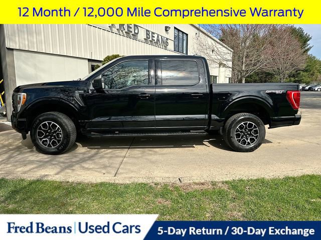 Certified 2023 Ford F150 XLT w/ Equipment Group 302A High image 6
