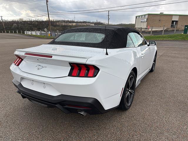 Certified 2024 Ford Mustang Premium RWD image 4