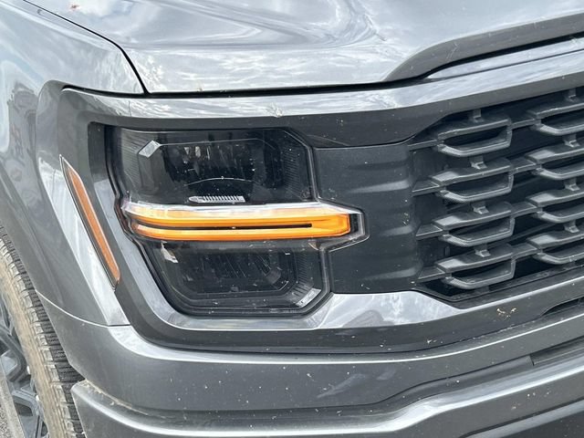 Certified 2025 Ford F150 STX RWD image 4