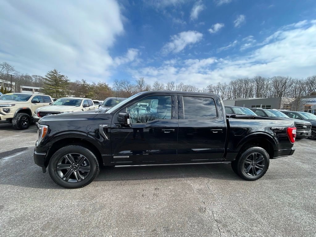 Certified 2023 Ford F150 Lariat w/ Equipment Group 502A High image 5