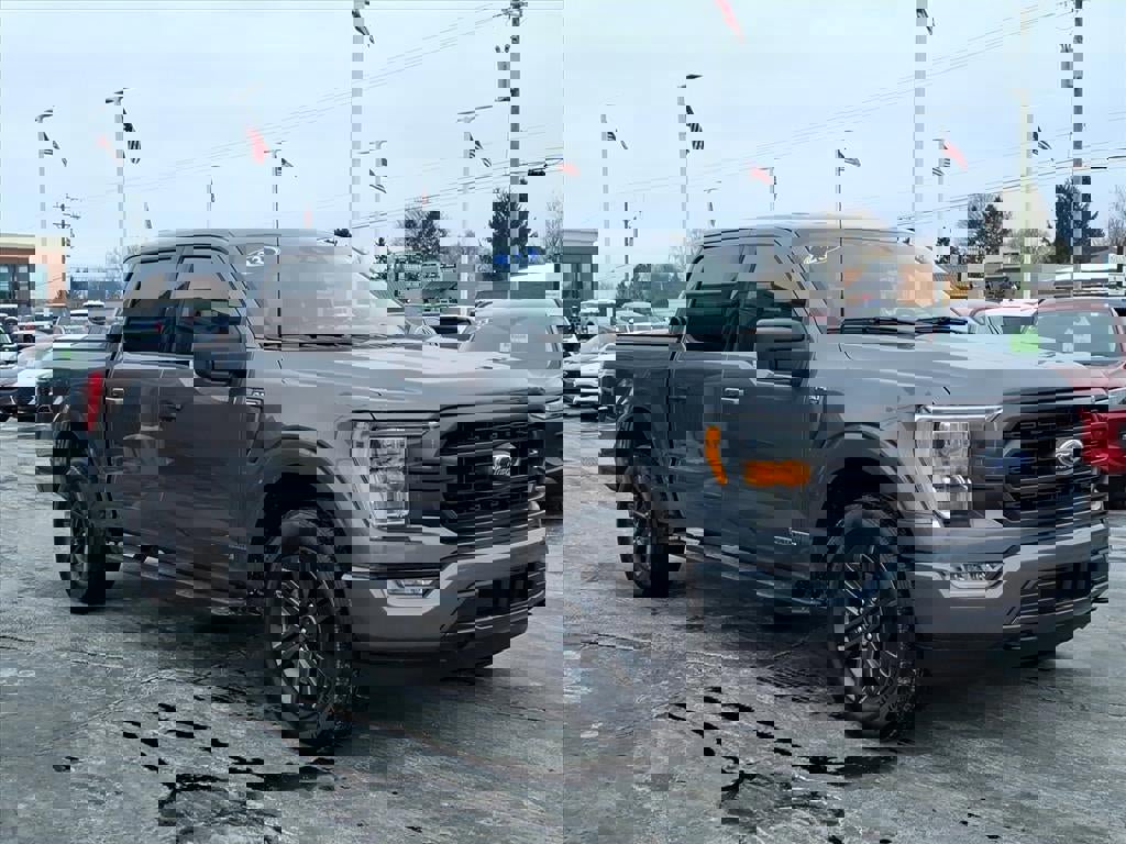 Certified 2023 Ford F150 XLT w/ Equipment Group 302A High image 5