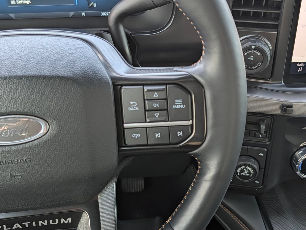 Certified 2024 Ford F250 Platinum w/ Tremor Off-Road Package AWD/4WD image 19