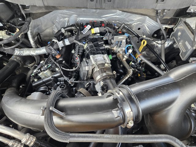 Certified 2024 Ford F150 STX image 30