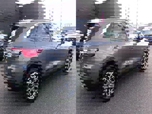 Certified 2022 Ford Escape SEL image 2