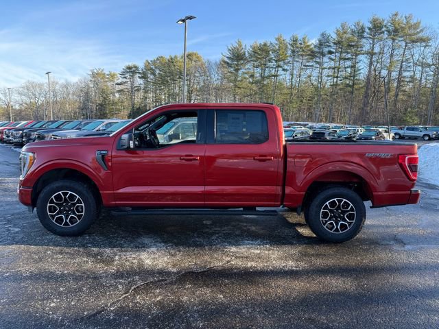 Certified 2023 Ford F150 XLT w/ Equipment Group 302A High image 2