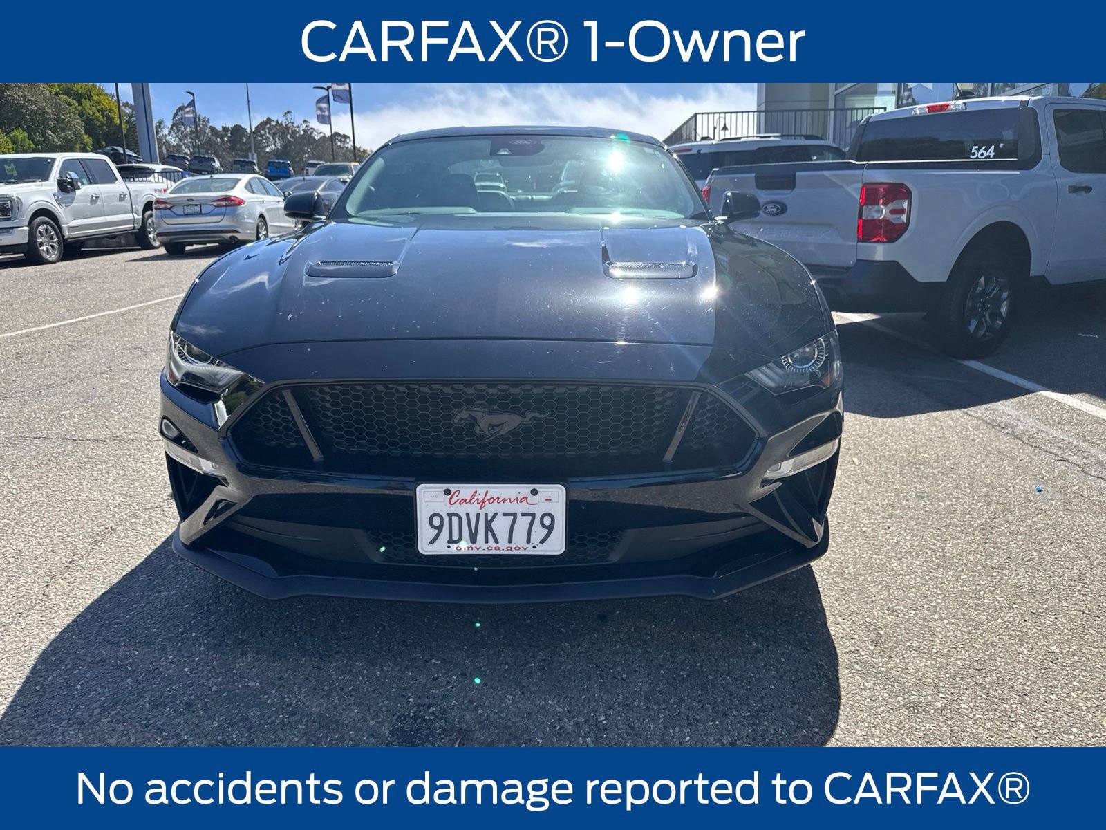 Certified 2022 Ford Mustang GT Premium w/ Equipment Group 401A RWD image 3