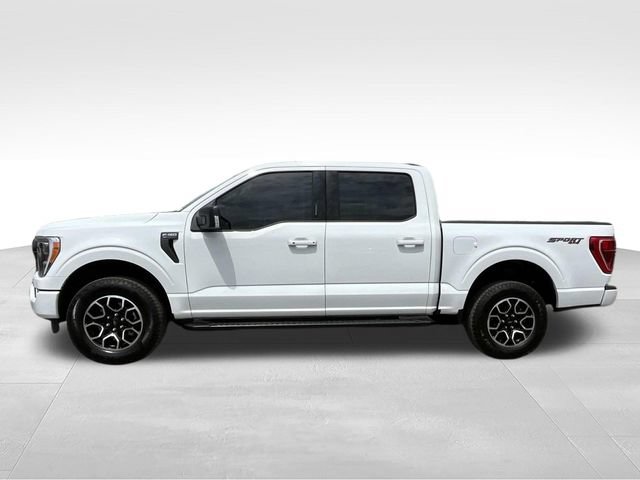 Certified 2023 Ford F150 XLT w/ Equipment Group 302A High AWD/4WD image 12