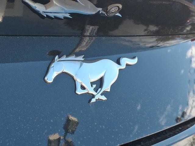 Certified 2024 Ford Mustang Premium RWD image 28