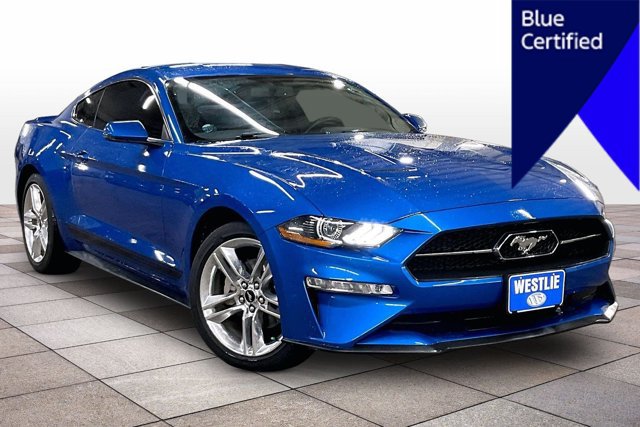 Certified 2019 Ford Mustang Premium w/ Equipment Group 201A