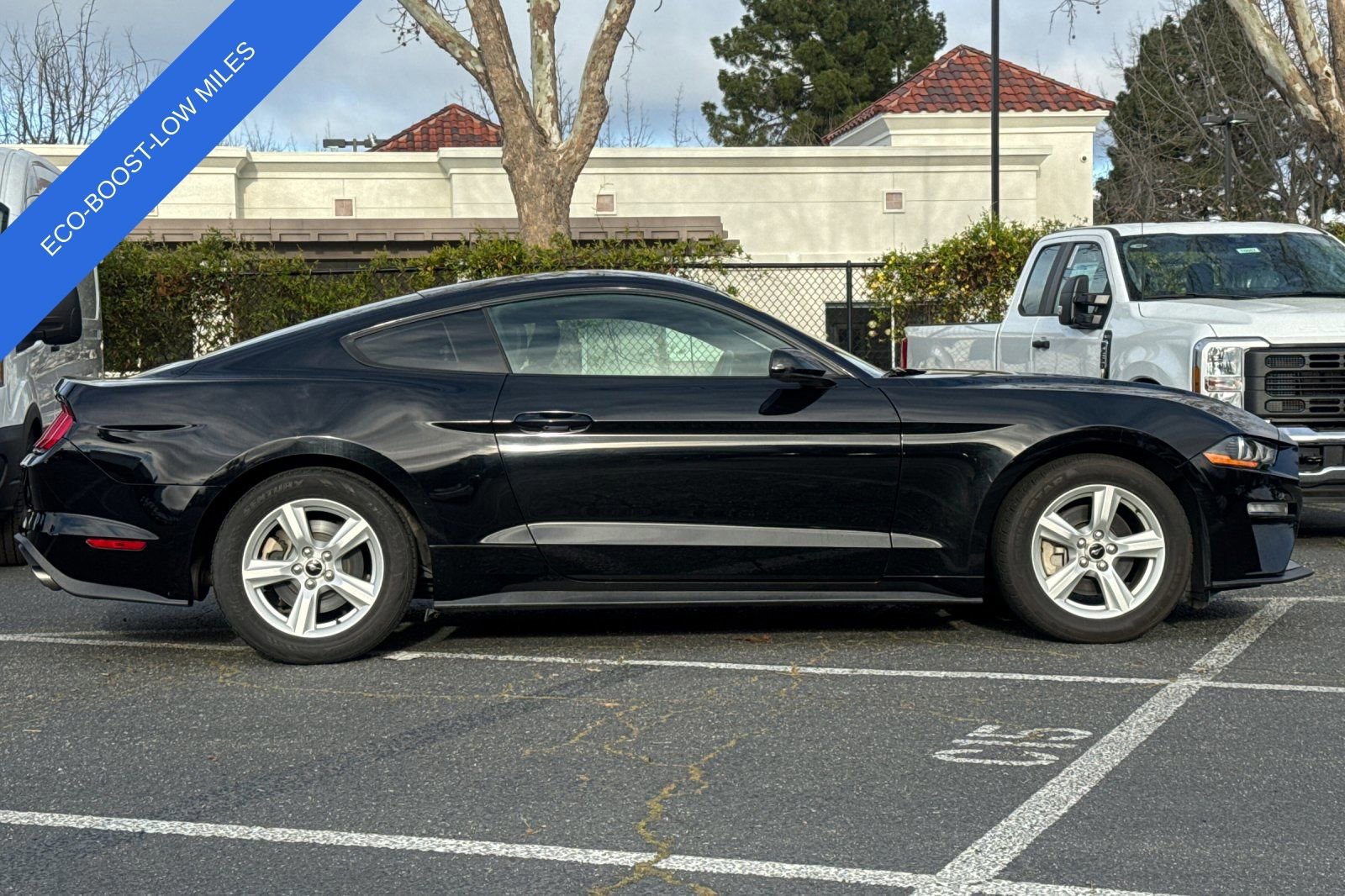 Certified 2019 Ford Mustang EcoBoost image 6