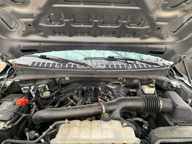 Certified 2024 Ford Expedition Limited image 6