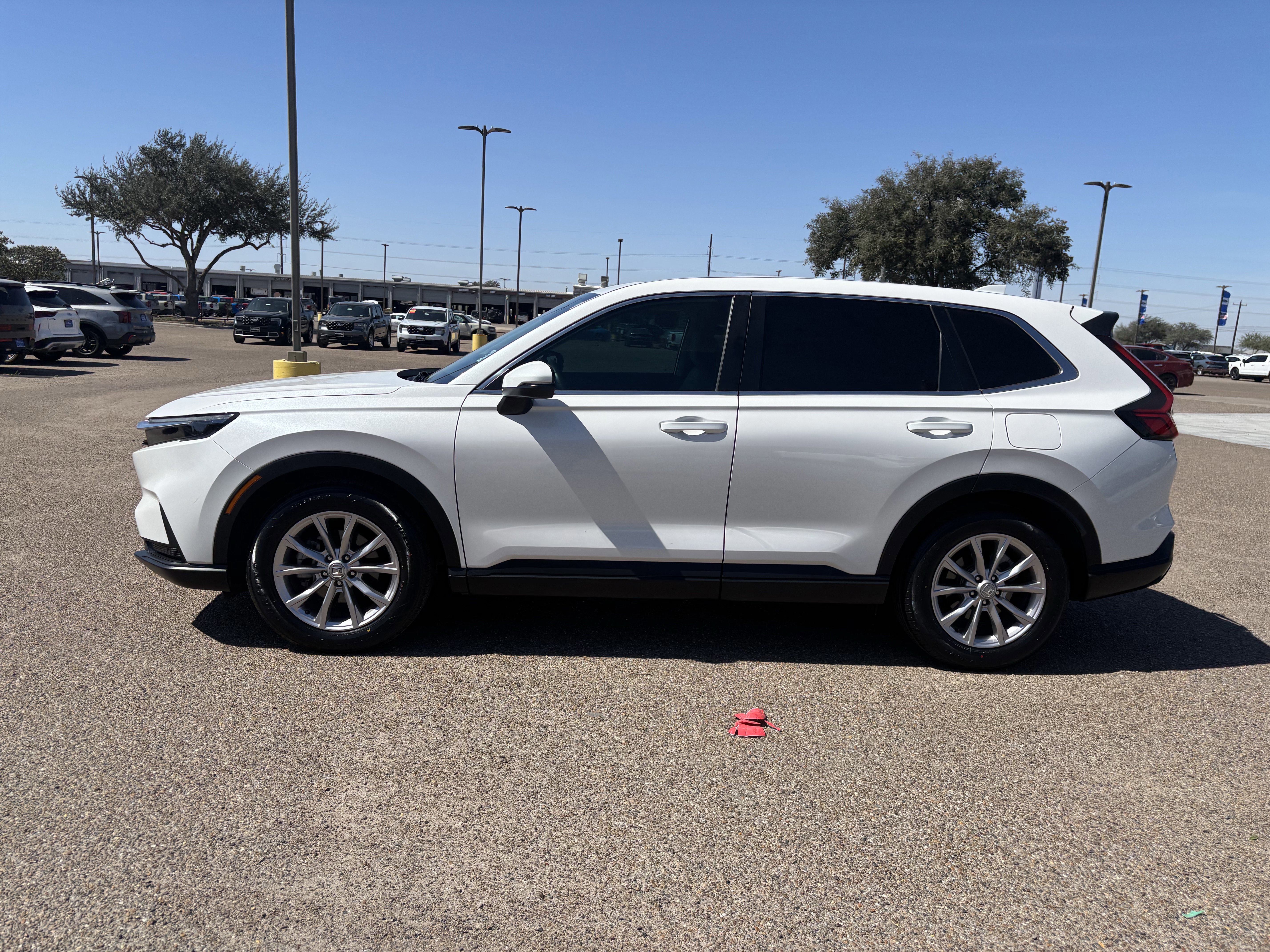 Used 2024 Honda CR-V EX-L image 3