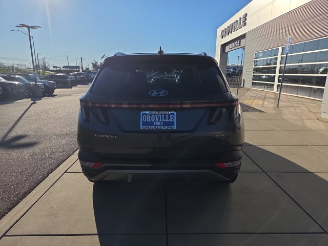 Used 2024 Hyundai Tucson Limited image 4