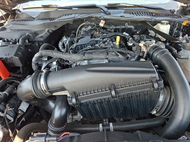 Certified 2024 Ford Mustang Premium RWD image 27
