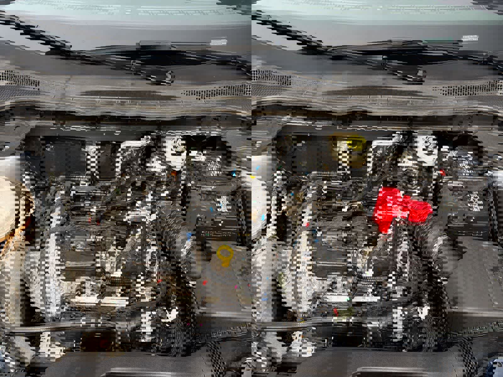 Certified 2022 Ford Escape SEL image 15