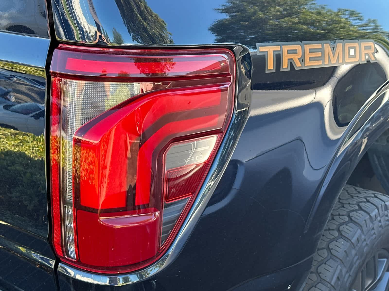 Certified 2025 Ford F150 Tremor w/ Equipment Group 402A High AWD/4WD image 7