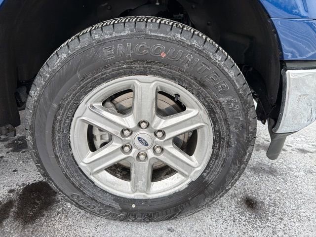 Certified 2025 Ford F150 XLT w/ Equipment Group 301A Standard image 7