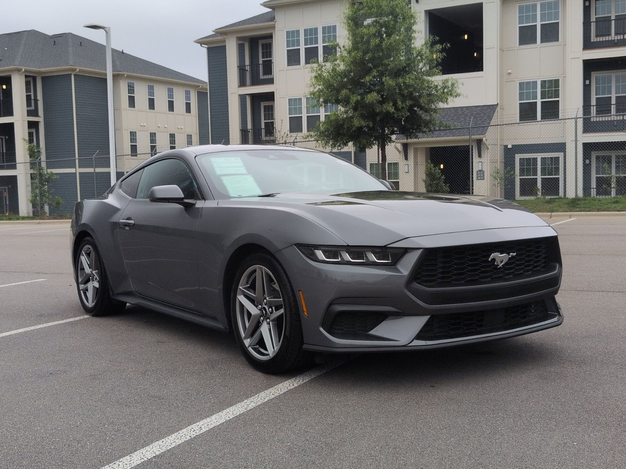 Certified 2024 Ford Mustang Premium RWD image 1