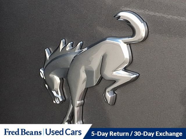 Certified 2023 Ford Bronco Badlands w/ Sasquatch Package image 32