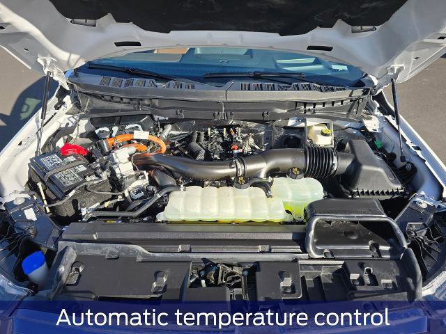 Certified 2025 Ford F150 King Ranch image 11