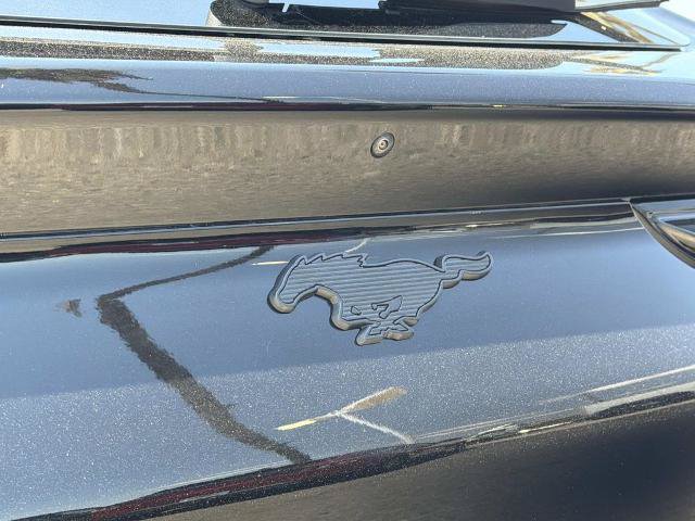 Certified 2023 Ford Mustang Mach-E Premium RWD image 9