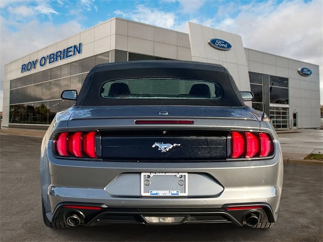 Certified 2022 Ford Mustang Premium image 4