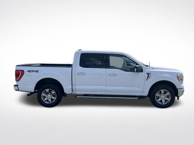 Certified 2023 Ford F150 XLT w/ Equipment Group 302A High AWD/4WD image 11