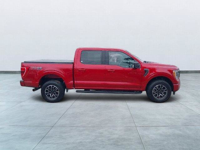 Certified 2021 Ford F150 XLT w/ Equipment Group 302A High AWD/4WD image 8