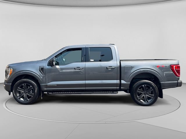 Certified 2023 Ford F150 XLT w/ Equipment Group 302A High AWD/4WD image 2