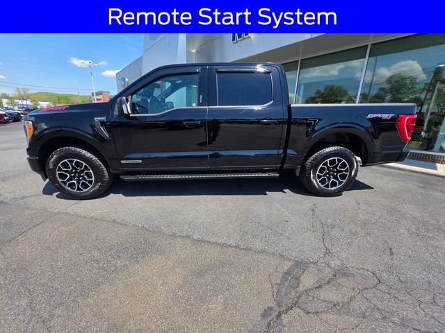 Certified 2023 Ford F150 XLT w/ Equipment Group 302A High AWD/4WD image 4