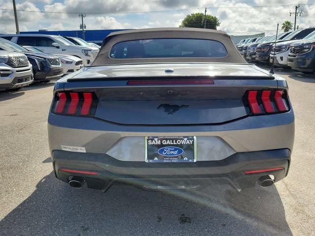 Certified 2025 Ford Mustang Convertible w/ Mustang Nite Pony Package RWD image 5