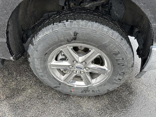 Certified 2025 Ford F150 XLT w/ Equipment Group 301A Standard image 10