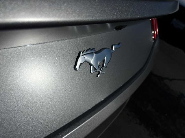 Certified 2024 Ford Mustang Premium w/ 2.3L High Performance Package image 7