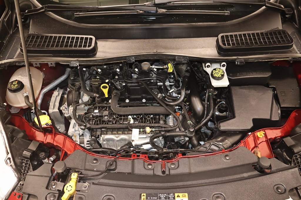 Certified 2019 Ford Escape SE image 32