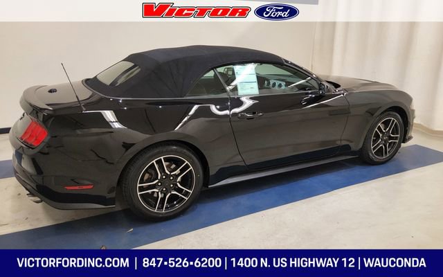 Certified 2020 Ford Mustang Premium image 4