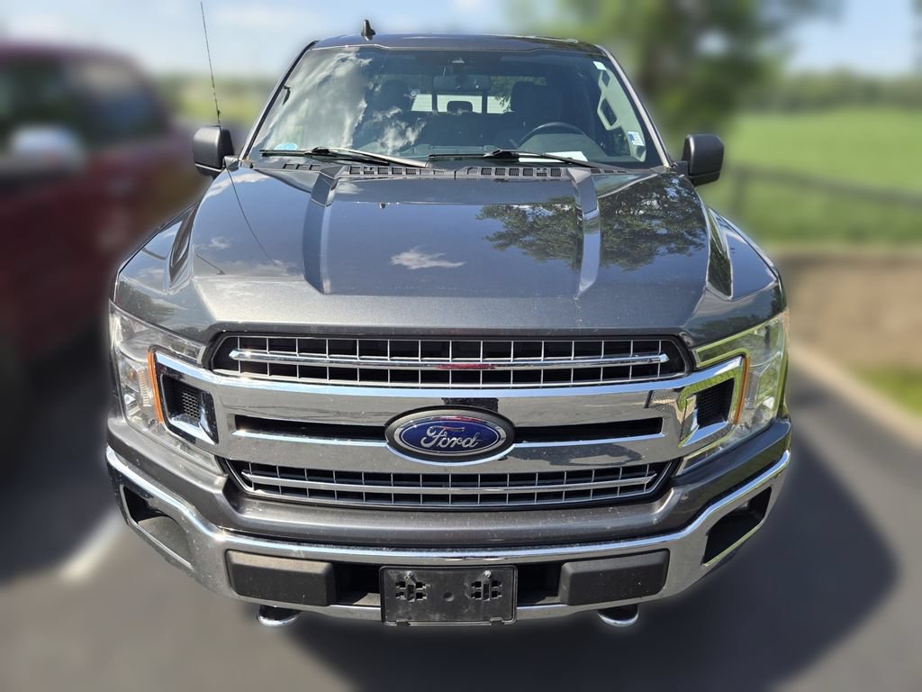 Certified 2019 Ford F150 XLT w/ Equipment Group 302A Luxury AWD/4WD image 3