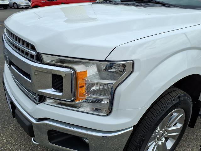 Certified 2019 Ford F150 XLT w/ Equipment Group 302A Luxury image 10