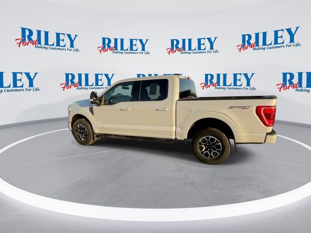 Certified 2022 Ford F150 XLT w/ Equipment Group 302A High image 4