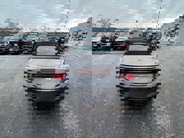 Certified 2024 Ford Mustang Premium image 5